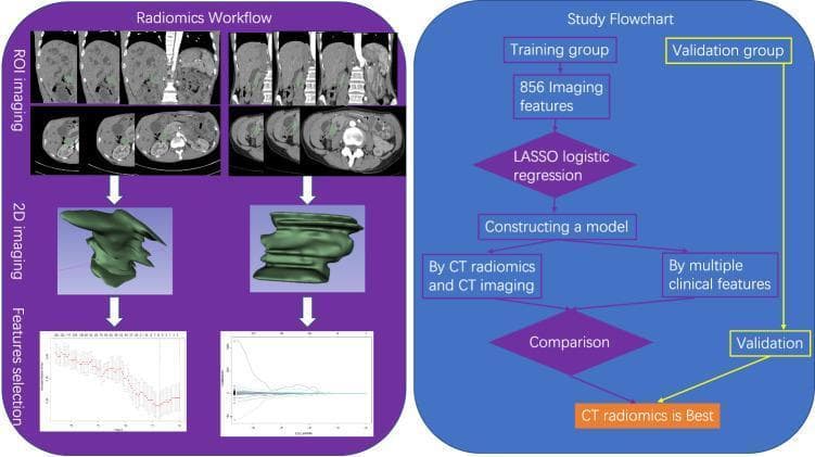 This infographic illustrates a dual-pane flowchart detailing a radiomics workflow and an associated clinical study design for oncology research. The left pane, titled 'Radiomics Workflow,' depicts the technical pipeline: starting with 'ROI imaging' showing segmented contrast-enhanced abdominal CT scans (coronal and axial views), followed by '2D imaging' which displays 3D reconstructions and surface renderings of tumor morphology, and concluding with 'Features selection' represented by LASSO regression plots and coefficient profiles. The right pane, 'Study Flowchart,' outlines the methodological framework: initial data is split into a 'Training group' and 'Validation group.' The training pipeline involves the extraction of 856 imaging features, dimensionality reduction via LASSO logistic regression, and the construction of comparative predictive models. These models compare 'CT radiomics and CT imaging' against 'multiple clinical features' (e.g., T stage, lymph vessel invasion). The final stage indicates a model 'Comparison' and subsequent 'Validation,' concluding that the CT radiomics approach demonstrates superior predictive performance for outcomes such as lymph node metastasis.