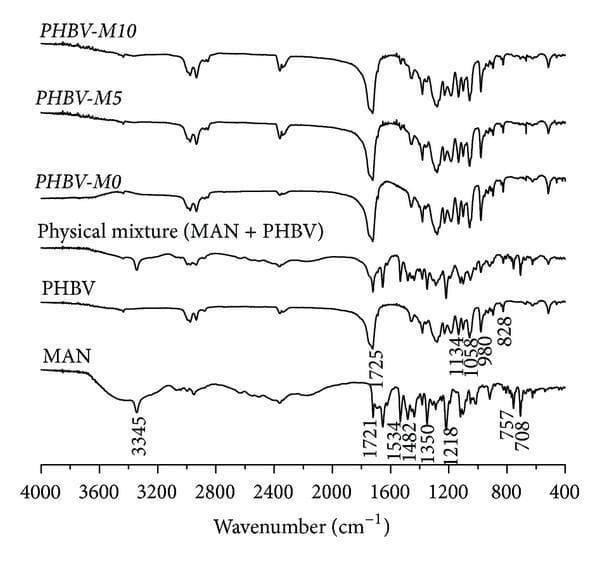 This diagnostic image displays the Fourier-transform infrared (FTIR) spectra used in pharmaceutical research for drug delivery systems. The chart compares the chemical fingerprints of Manidipine (MAN), a third-generation calcium channel blocker used for hypertension, and poly(3-hydroxybutyrate-co-3-hydroxyvalerate) (PHBV), a biodegradable polymer used for microencapsulation. The x-axis represents the wavenumber in cm⁻¹ (ranging from 4000 to 400), while the y-axis shows transmittance. The MAN spectrum reveals characteristic peaks at 3345 cm⁻¹ (N-H stretching) and 1721 cm⁻¹ (C=O stretching). The PHBV and microparticle formulation spectra (PHBV-M0, M5, M10) demonstrate a dominant carbonyl peak at approximately 1725 cm⁻¹. The comparison between the physical mixture (MAN + PHBV) and the microparticle formulations is used to evaluate drug-polymer interactions and the successful incorporation of the antihypertensive agent into the porous polymer matrix, which is clinically relevant for developing sustained-release medications.