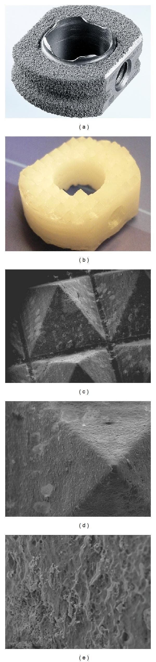 This composite educational image illustrates orthopedic spinal implants used in interbody fusion studies. (a) Displays a CeSpace Titanium Plasmapore cage, a clinical-grade control implant featuring a metallic gray, highly porous surface designed to enhance primary fixation and bone ingrowth. (b) Shows a bioresorbable Poly-(70L/30DL)-lactide-fiber-reinforced β-tricalcium phosphate (PLA70/β-TCP) composite cage, exhibiting a yellowish-white, ring-shaped structure with molded sharp ridges for vertebral endplate engagement. (c, d, e) Provide a series of Scanning Electron Micrographs (SEM) of the PLA70/β-TCP matrix at 35X, 100X, and 500X magnifications, respectively. These micrographs demonstrate the progressive visibility of the surface topography, showing ceramic particles embedded within the polymer matrix. At higher magnifications, the lack of an isolating film is evident, revealing a highly irregular, porous micro-texture that facilitates direct interaction between the bioactive ceramic particles and surrounding biological fluids. The material is designed for biomechanical stability and subsequent osteoconductivity in surgical applications.