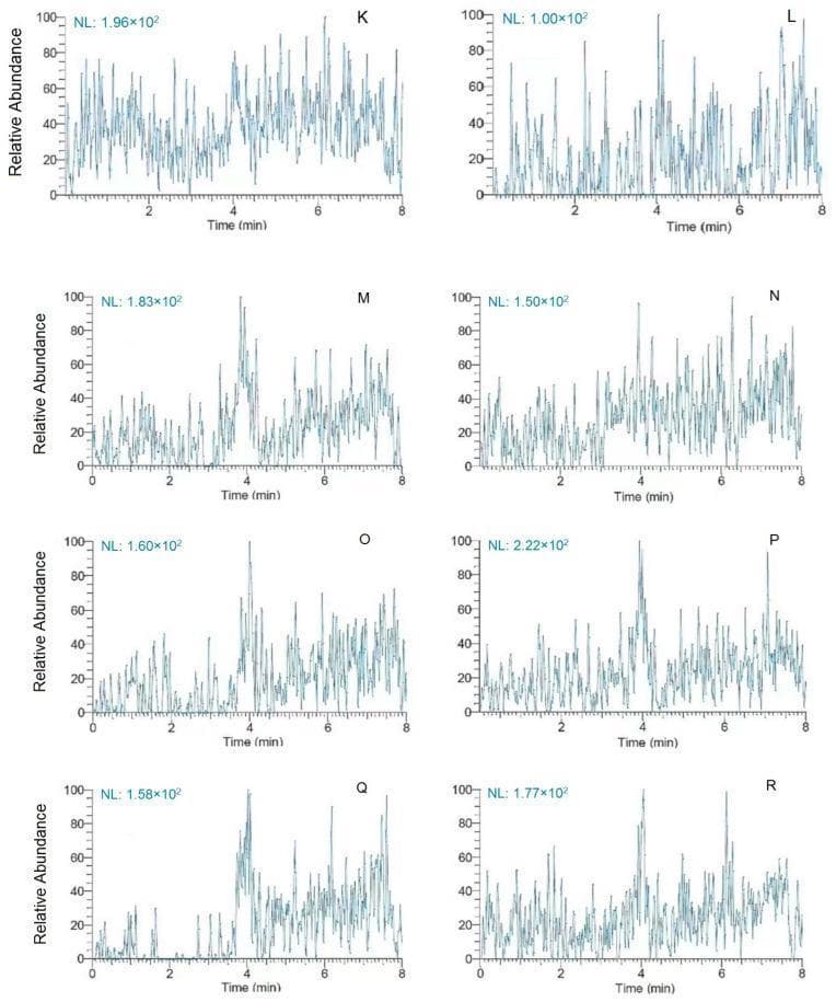 This diagnostic graphic presents a multi-panel set of mass spectrometry chromatograms labeled K through R, used for clinical biochemical analysis of calcium channel blockers (CCBs) in human plasma. Each panel illustrates a signal plot with 'Time (min)' on the x-axis (ranging from 0 to 8 minutes) and 'Relative Abundance' on the y-axis (scaled 0 to 100). The chromatograms represent blank plasma samples used to assess selectivity and carryover effects during the validation of an ultra-HPLC-MS/MS method. Key features include normalization levels (NL) indicated in the top left of each panel, ranging from approximately 1.00 x 10^2 to 2.22 x 10^2. The plots demonstrate baseline noise and the absence of significant interfering peaks at the retention times for analytes such as amlodipine, nifedipine, and nimodipine. Panels M through R specifically represent blank samples analyzed after high-concentration quality control (HQC) samples to verify minimal carryover, which is critical for ensuring the accuracy and precision of quantitative toxicological or pharmacological assays in medical diagnostics.