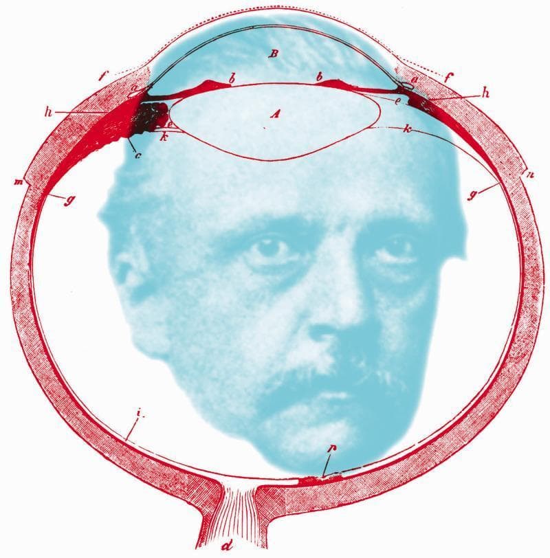This educational illustration is an anatomical diagram of the human eye in sagittal cross-section, overlaid with a portrait of Hermann von Helmholtz. The diagram, rendered in red linework, depicts essential ophthalmic structures including the cornea (labeled B), the crystalline lens (labeled A), and the ciliary body (b). Various alphabetical annotations (c, d, e, f, g, h, i, k, m, n) indicate specific histological and anatomical regions, such as the sclera, retina, choroid layers, and the optic nerve exit (d). The lens is shown in its anatomical position behind the anterior chamber and iris. The image serves as a conceptual tribute to physiological optics, bridging the anatomy of vision with the historical figure responsible for major advancements in the field, such as the invention of the ophthalmoscope and the primary treatise on physiological optics. The spatial arrangement emphasizes the internal ocular environment, with the retinal lining and posterior segment framing the central portrait.