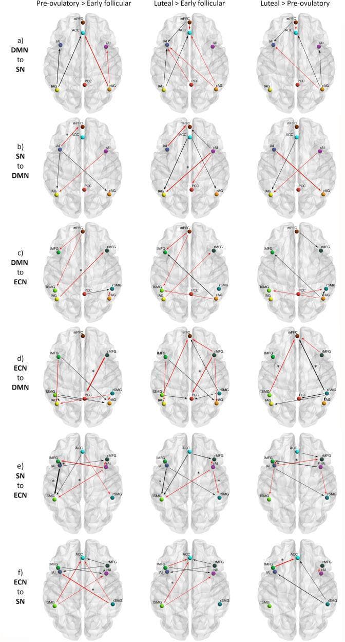 A multi-panel neuroimaging diagram illustrating effective connectivity differences across the menstrual cycle within a triple-network model. The networks include the Default Mode Network (DMN), Salience Network (SN), and Executive Control Network (ECN). The panels (a-f) represent directed connectivity between networks: DMN to SN, SN to DMN, DMN to ECN, ECN to DMN, SN to ECN, and ECN to SN. Results are categorized into three cycle phase comparisons: Pre-ovulatory vs. Early Follicular, Luteal vs. Early Follicular, and Luteal vs. Pre-ovulatory. Brain regions are depicted as colored nodes (e.g., mPFC, PCC, ACC, AI, MFG, SMG) on axial schematic brain templates. Arrows indicate the direction and strength (width) of connectivity differences. Black arrows represent positive differential connectivity, while red arrows represent negative differential connectivity. Asterisks denote connections with high statistical significance (posterior probability >95%). This resource facilitates understanding of how endogenous hormonal fluctuations modulate functional brain architecture and inter-network communication in healthy adult females.