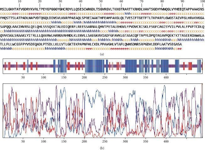This figure presents the results of a bioinformatic analysis of the secondary structure of the ROP29 protein, a protein relevant in medical microbiology and infectious disease research. Panel (a) shows the primary amino acid sequence with GOR4 secondary structure predictions mapped directly beneath each residue. Predictions are represented by letter codes: 'h' (blue) for alpha-helix, 'e' (red) for extended strand (beta-sheet), 'c' (orange) for random coil, and 't' (purple) for turn. This linear map allows for the identification of specific structural domains along the 489-residue sequence. Panel (b) consists of two graphical plots. The upper plot in (b) is a color-coded barcode representation of structural propensity along the sequence length. The lower plot in (b) is a line graph displaying the statistical probability or propensity scores of secondary structures (blue and red lines) across the amino acid positions. These tools are used in vaccine development and proteomics to predict epitope accessibility and protein folding characteristics. The analysis highlights that the protein is predominantly composed of random coils (49.69%) and alpha-helices (36.81%).