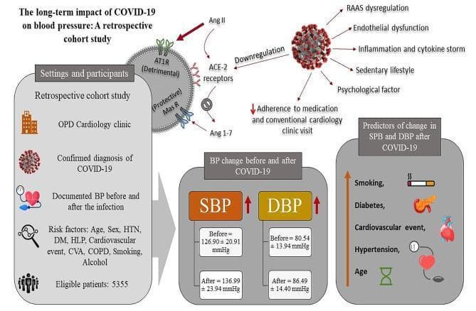 A medical infographic and pathophysiology diagram summarizing the long-term impact of COVID-19 on blood pressure based on a retrospective cohort study. The upper portion illustrates the cellular mechanism where SARS-CoV-2 leads to the downregulation of ACE-2 receptors, causing RAAS dysregulation (increased Ang II binding to AT1R and decreased Ang 1-7 binding to Mas receptors), endothelial dysfunction, and inflammation. The left panel details the 'Settings and participants' section, noting a study of 5,355 eligible patients with documented BP pre- and post-infection. The central 'BP change' panel shows quantitative increases in systolic blood pressure (SBP from 126.90 to 136.99 mmHg) and diastolic blood pressure (DBP from 80.54 to 86.49 mmHg), highlighted with red upward arrows. The right panel lists clinical predictors of BP changes, including smoking, diabetes, cardiovascular events, hypertension, and age, accompanied by illustrative icons. The graphic integrates clinical data with biological mechanisms to demonstrate the cardiovascular sequelae of COVID-19.