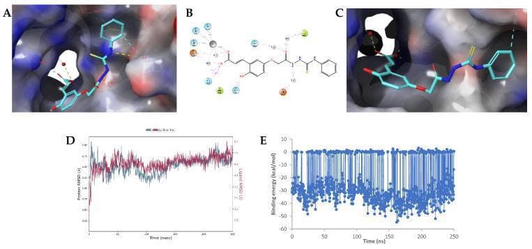 This composite image illustrates molecular modeling and simulation data for a potential human Carbonic Anhydrase (hCA) inhibitor. Panels A and C present 3D molecular surface representations of the ligand 14a-(E)-open docked within the protein binding pocket, showing the initial pose and the state after 250 ns of Molecular Dynamics (MD) simulation, respectively. The surfaces are color-coded by electrostatic and hydrophobic properties (red for anionic, purple for cationic, green for hydrophobic). Panel B is a 2D ligand-protein interaction diagram detailing specific residue contacts, including hydrogen bonds (purple dashed lines) with residues such as Thr199 and Gln92. Panel D provides a line graph of the Root Mean Square Deviation (RMSD) for protein Cα-atoms and ligand heavy atoms over 250 ns, indicating structural stability of the protein and conformational flexibility of the ligand. Panel E displays a scatter plot of MM-GBSA binding energy (kcal/mol) over the simulation time, demonstrating the thermodynamic profile of the binding event. These data are typical for pharmaceutical research into CA IX inhibitors used in oncology or metabolic studies.