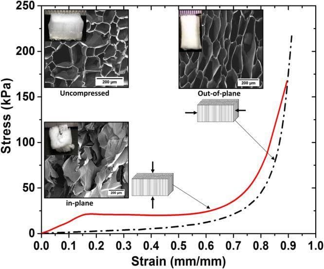 A scientific infographic and plot illustrating the biomechanical properties and morphology of a 0.9A cellulose acetate aerogel, a material studied for tissue engineering and medical scaffolding applications. The primary graph displays compressive Stress (kPa) vs. Strain (mm/mm) comparing in-plane (solid red line) and out-of-plane (dashed black line) compression. The in-plane curve exhibits a distinct linear elastic region, yielding at approximately 15% strain, followed by a plateau and sharp densification after 74% strain. The out-of-plane curve shows lower initial stress with densification occurring at 86% strain. Insets provide Scanning Electron Microscopy (SEM) micrographs (200 µm scale) and clinical-style macro photographs of the samples. The 'Uncompressed' SEM shows a regular honeycomb-like pore structure; 'Out-of-plane' compression results in pore wall bending and minor cracking; 'In-plane' compression leads to total structural collapse and loss of pore morphology. Schematic diagrams illustrate the directional force applied relative to the longitudinal pore alignment, highlighting the material's anisotropic mechanical behavior relevant to structural biomaterials.