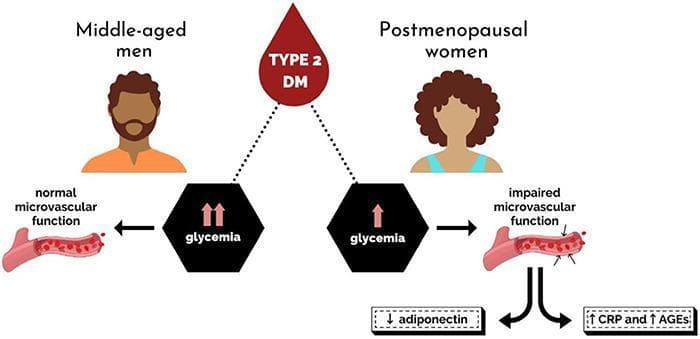 A medical infographic and comparison chart illustrating the sex-specific pathophysiology of microvascular function in Type 2 Diabetes Mellitus (T2DM). The diagram compares middle-aged men and postmenopausal women. For men, the visual highlights that despite higher glycemia (indicated by double upward arrows), they exhibit 'normal microvascular function,' depicted by a blood vessel with a smooth endothelium and organized red blood cells. In contrast, postmenopausal women are shown with lower glycemia (single upward arrow) yet manifest 'impaired microvascular function,' visually represented by an irregular, damaged vessel lining with projections. This vascular impairment in women is further linked to a specific metabolic profile: decreased levels of the anti-inflammatory adipokine adiponectin and increased levels of pro-inflammatory mediators, specifically C-reactive protein (CRP) and advanced glycation end products (AGEs). The illustration serves as a clinical comparison of how hormonal status and inflammatory markers, rather than glycemia alone, drive microvascular complications in diabetic women.