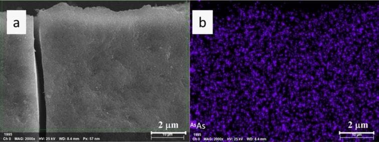 This figure presents diagnostic micro-imaging relevant to environmental toxicology and biomedical engineering, specifically focusing on the remediation of arsenic, a potent human carcinogen. Panel (a) shows a Scanning Electron Microscopy (SEM) image of Mg(OH)2-in situ-As(V) sludge at a 2 μm scale. The image reveals an amorphous, relatively smooth bulk morphology with fine surface irregularities and a prominent vertical micro-crack, indicating the structural characteristics of the adsorbent matrix. Panel (b) illustrates elemental mapping of Arsenic (As) within the same sludge sample, represented by purple fluorescence. The distribution is highly uniform across the matrix, suggesting effective encapsulation of As(V) rather than simple surface adsorption. This uniform dispersion is clinically significant for the development of highly efficient detoxification protocols and wastewater treatment standards to prevent chronic arsenic poisoning. The visual data supports the mechanism of irreversible co-precipitation in amorphous magnesium hydroxide flocs, a key concept in toxicology and preventive medicine regarding heavy metal sequestration.