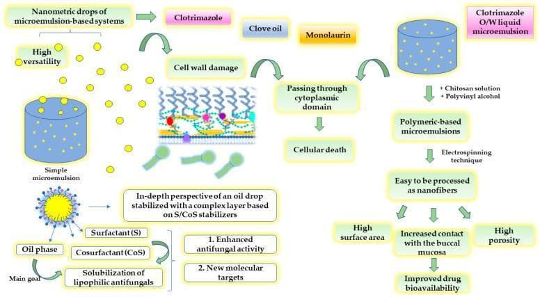 This medical pharmacology diagram illustrates the mechanism and processing of microemulsion-based drug delivery systems for antifungal therapy, specifically targeting Candida albicans. The flowchart is divided into three functional segments: mechanism of action, formulation chemistry, and advanced drug delivery processing. The top left depicts nanometric drops of microemulsion containing antifungal agents like clotrimazole, clove oil, or monolaurin. The mechanism of action shows these droplets causing cell wall damage and passing through the cytoplasmic domain of fungi, ultimately resulting in cellular death. The bottom left details the biochemical composition of the system, highlighting the use of an oil phase combined with surfactants (S) and cosurfactants (CoS) to achieve the solubilization of lipophilic antifungals, aiming for enhanced activity and new molecular targets. The right side of the diagram outlines the pharmaceutical processing where an oil-in-water (O/W) liquid microemulsion is modified with chitosan and polyvinyl alcohol to create polymeric-based microemulsions. These undergo electrospinning to form nanofibers. The educational focus is on how the resulting high surface area and porosity of these nanofibers increase contact with the buccal mucosa, thereby improving drug bioavailability for oral candidiasis treatment.