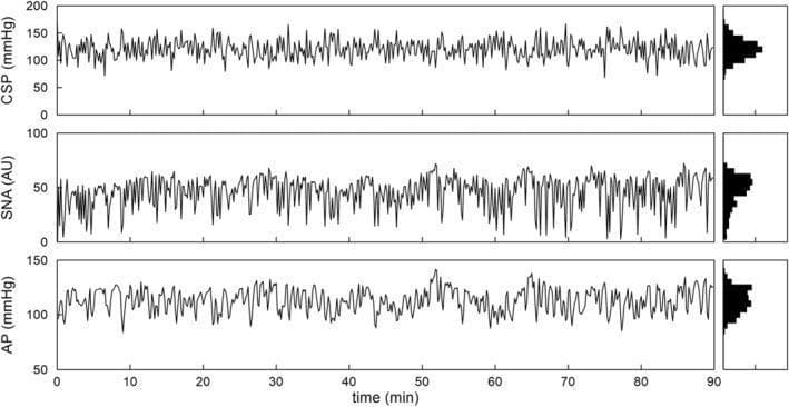 This image presents three aligned time-series plots and corresponding histograms illustrating the dynamics of the arterial baroreflex system. The vertical panels track Carotid Sinus Pressure (CSP) in mmHg, Sympathetic Nerve Activity (SNA) in Arbitrary Units (AU), and Arterial Pressure (AP) in mmHg over a 90-minute recording duration. The CSP serves as the input signal, perturbed using Gaussian White Noise (GWN) with a mean of 120 mmHg. Visually, SNA and AP demonstrate reciprocal fluctuations in response to CSP changes, characteristic of negative feedback baroreflex control. To the right of each time series, a frequency distribution histogram is provided. The CSP histogram exhibits a symmetric, Gaussian distribution centered at 120 mmHg. In contrast, the SNA and AP histograms show non-Gaussian, skewed distributions, indicating nonlinearities in the neural and total arcs of the baroreflex regulatory system. This data is critical for physiological modeling of autonomic cardiovascular control and understanding dynamic gain and phase relationships between baroreceptor stimulation and sympathetic effector response.
