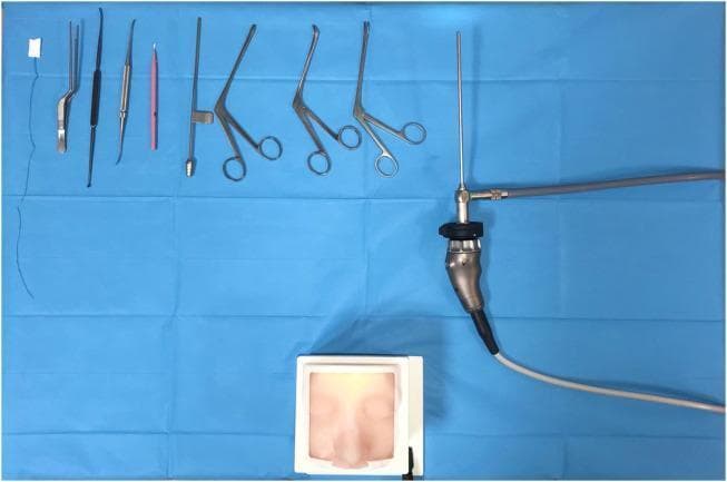 A clinical photograph showcasing a specialized surgical simulation set for Endoscopic Sinus Surgery (ESS). The visual contains three primary components arranged on a blue sterile field: a 3D-printed anatomical simulator, standard otorhinolaryngological (ENT) surgical instruments, and an endoscopic imaging system. The simulator at the bottom features a realistic, flesh-toned silicone facial skin model housed in a white frame, with a focus on the nasal anatomy, including the bridge and nostrils. The instrument array at the top includes metallic forceps, a Cottle dissector/elevator with a black handle, a pink-handled probe, and multiple long-reach, angled nasal grasping forceps (such as Blakesley or Takahashi style). To the right, a rigid endoscope is connected to a camera head and a fiber-optic light cable, which is essential for performing and viewing the simulated endonasal tasks. This educational setup is designed for training surgeons in tasks such as identifying landmarks, removing foreign bodies, and performing septal mucosal incisions in a non-destructive environment.