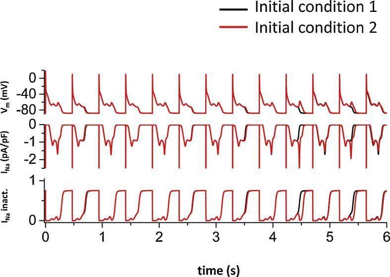 This pathophysiology diagram consists of three stacked electrophysiological simulation traces over a 6-second period, illustrating cellular cardiac arrhythmias. The Y-axes represent membrane potential (Vm in mV), sodium current (INa in pA/pF), and sodium inactivation (INa inact.). The simulation compares two starting states: 'Initial condition 1' (black line) and 'Initial condition 2' (red line), where the latter begins with a membrane potential 1 mV higher than the former. The Vm trace demonstrates the development of early afterdepolarizations (EADs) during the repolarization phase of the action potentials. Initially, the two simulation traces are identical, but they eventually diverge, illustrating sensitivity to initial conditions and chaotic dynamics in cardiac electrical signaling. The corresponding INa traces show that during EADs, there is a reactivation of sodium currents, which correlates with partial recovery in the INa inactivation variable. This visual evidence supports the role of sodium channel window currents in triggering irregular EADs under pathological conditions, such as long QT syndrome or heart failure.