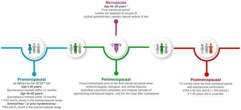 A medical infographic illustrating the progression of the menopausal transition, categorized into four stages: Premenopausal (blue), Perimenopausal (green), Menopause (purple), and Postmenopausal (red). The timeline uses circular icons and connecting lines to define each phase by clinical and biochemical criteria. 'Premenopausal' is defined by age, spontaneous menses, or FSH/E2 levels in the premenopausal range. 'Perimenopausal' is described as the period of approaching menopause characterized by endocrinological changes and vasomotor symptoms. 'Menopause' (age 42–58) identifies the final menstrual period when ovaries are depleted of oocytes and steroid activity is lost. 'Postmenopausal' is defined as 12 months since the final menstrual period, with biochemical confirmation (FSH ≥ 60 IU/L and E2 < 200 pmol/L) for patients under 45. The diagram emphasizes clinical definitions used in trials like OFSET, integrating age, hormone levels, and menstrual history to differentiate the stages of reproductive aging.