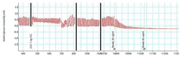 This physiological tracing illustrates a pharmacological study of gastrointestinal motility, specifically measuring the contractility of an isolated rabbit jejunum over time. The graph, plotted as millivolts (mV) against time, demonstrates the effects of different pharmacological agents on smooth muscle activity. The baseline displays regular, rhythmic spontaneous contractions with consistent amplitude. Following the administration of Acetylcholine (Ach) at 2 µg/mL, a muscarinic agonist, the contractile pattern is modulated. Subsequent administration of 'Neodu' (neodulin), an isolated compound from N. mitis, shows a concentration-dependent inhibitory effect. At 30 µg/mL, there is a visible reduction in both the amplitude and frequency of the rhythmic contractions. Following the administration of a higher dose (60 µg/mL), the tracing shows a near-complete abolition of motility, with the line flattening toward a baseline level, indicating profound smooth muscle relaxation. This diagnostic-style tracing is used in pharmacology and physiology education to demonstrate concentration-response relationships and the mechanism of spasmolytic or antispasmodic agents on intestinal tissue.
