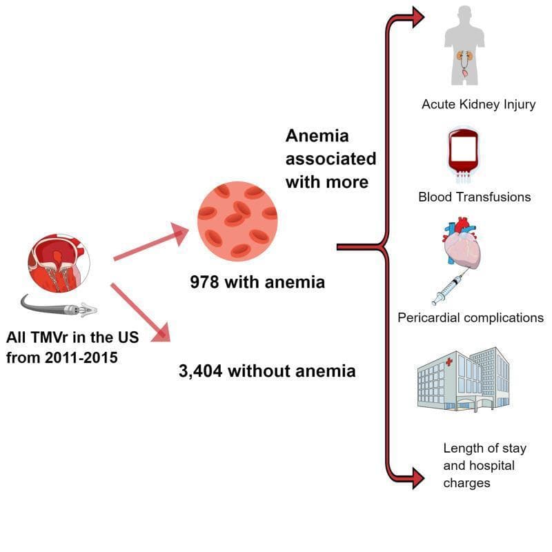This medical infographic summarizes the clinical outcomes associated with baseline anemia in patients undergoing Transcatheter Mitral Valve Repair (TMVr). The diagram illustrates a cohort analysis of US procedures from 2011 to 2015, categorizing 4,382 total patients into two groups: 978 with anemia (represented by a red blood cell cluster) and 3,404 without anemia. A central flow arrow directs the viewer to the adverse outcomes significantly associated with the anemic group. These complications are visually depicted through icons and labels, including Acute Kidney Injury (AKI) represented by a renal system silhouette, Blood Transfusions shown with a blood bag icon, Pericardial Complications illustrated by a heart with a pericardiocentesis needle, and increased healthcare utilization (Length of Stay and Hospital Charges) represented by a hospital building icon. This clinical algorithm serves as a summary of the impact of pre-procedural anemia on postoperative morbidity and hospital resource management in cardiovascular medicine.