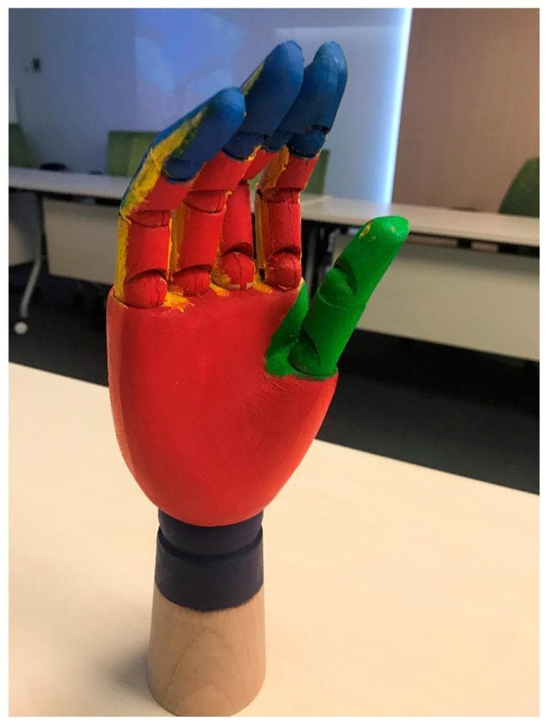 This photograph depicts a pedagogical anatomical diagram in the form of a multi-colored wooden hand model, used as a visual aid for teaching proper hand hygiene (HH) techniques. The model is segmented into seven distinct colored regions to represent specific anatomical areas of the hand that require attention during scrubbing or sanitizing: the wrist (dark blue), the palm (red), the thumb (green), the finger webs or base of the fingers (yellow), the back/proximal portions of the fingers (red), and the fingertips (blue). The use of high-contrast colors serves as a mnemonic tool for children or medical students to identify and recall the 'right steps' of hand washing, ensuring total surface coverage. This educational resource is typically utilized in public health interventions or clinical training to demonstrate the complexity of hand topography and the importance of systemic decontamination across all surfaces including the thenar eminence, interdigital spaces, and subungual areas.