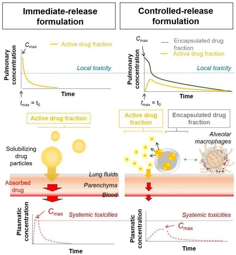 A comparison chart and pathophysiology diagram illustrating the local and systemic pharmacokinetic profiles of immediate-release versus controlled-release inhalation formulations. The top row features line graphs of pulmonary drug concentration over time. The immediate-release graph shows a sharp, high peak (Cmax) at tmax = t0, significantly exceeding the local toxicity threshold. The controlled-release graph depicts two profiles: a high initial encapsulated drug fraction and a lower, sustained active drug fraction that remains below the local toxicity limit. The middle section shows the mechanism of action: immediate-release involves rapid solubilizing drug particles penetrating lung fluids and parenchyma, while controlled-release shows nanocarriers releasing active drug fractions and interacting with alveolar macrophages. The bottom row presents plasmatic concentration graphs; the immediate-release formulation exhibits a rapid systemic Cmax correlated with higher systemic toxicities, whereas the controlled-release formulation demonstrates a blunted, delayed peak, indicating improved systemic safety. This educational graphic is intended for pharmacology and oncology instruction regarding inhaled drug delivery systems.
