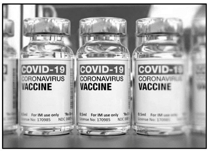 A close-up clinical photograph presented in grayscale showing three identical medical vials containing a clear liquid, identified as a COVID-19 coronavirus vaccine. The clear glass or plastic vials are sealed with metallic crimp caps and are filled with approximately 0.5 ml of fluid. Each vial features a prominent white pharmaceutical label with black text. The labels specify the content as 'COVID-19 CORONAVIRUS VACCINE' and include critical administration instructions: 'For IM use only' (intramuscular injection). Regulatory and manufacturing details are also visible, including a license number (170985) and an NDC code (1687). This visual represents mass-produced immunization supplies and is intended for educational topics related to public health, infectious disease prevention, and pharmaceutical distribution during the SARS-CoV-2 pandemic. The uniform arrangement of the vials emphasizes standardization in vaccine production and clinical readiness.
