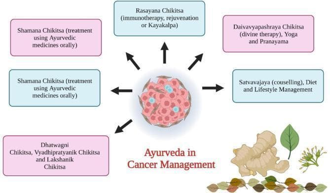 An educational infographic titled 'Ayurveda in Cancer Management' that illustrates a multidisciplinary integrative medicine approach. The central graphical element is a cross-sectional illustration of a tumor microenvironment, depicting a cluster of irregularly shaped pinkish-red neoplastic cells interspersed with small cyan-blue immune or signaling components. Black directional arrows radiate from this central mass toward surrounding rectangular boxes, signifying various therapeutic interventions. The described treatments include: 'Rasayana Chikitsa' (immunotherapy and rejuvenation), 'Shamana Chikitsa' (oral medications), 'Dhatwagni and Vyadhipratyanik Chikitsa' (antitumor therapies), 'Daivavyapashraya Chikitsa' (spiritual/divine therapy including Yoga and Pranayama), and 'Satvavajaya' (dietary and lifestyle counseling). At the bottom right, botanical illustrations including a ginger rhizome (Zingiber officinale) and medicinal leaves are shown, representing the phytochemical basis of these treatments. The diagram serves to categorize Ayurvedic cancer management procedures for healthcare providers and students interested in integrative oncology and complementary therapies.