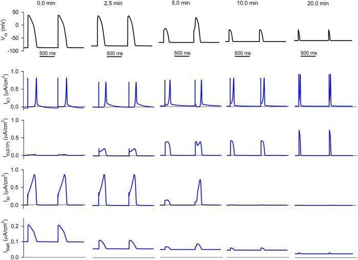 Hugging Face pmc clinical VQA raw