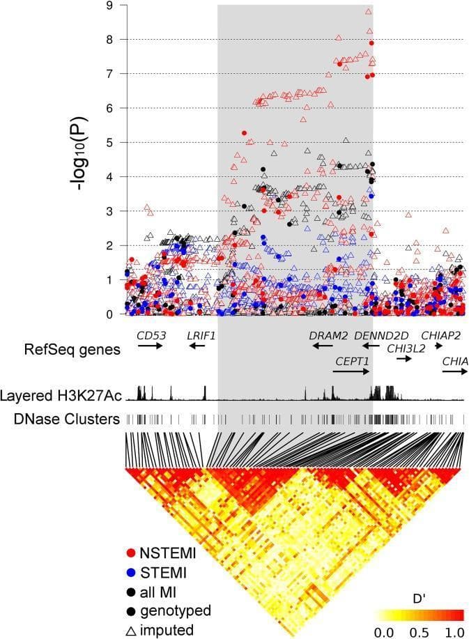 A multi-track genomic visualization showing the association of genetic variants at the 1p13.3 locus with myocardial infarction (MI) phenotypes. The top panel is a regional Manhattan-style plot displaying -log10(P) values for NSTEMI (red), STEMI (blue), and all MI (black) cases, distinguishing between genotyped (filled circles) and imputed (hollow triangles) variants. A gray shaded region highlights a cluster of high significance specifically for NSTEMI, with P-values reaching nearly 10^-9. Below the association plot, tracks display RefSeq genes including CD53, LRIF1, DRAM2, CEPT1, and DENND2D, alongside ENCODE regulatory annotations: Layered H3K27Ac peaks (marker of active enhancers/promoters) and DNase I hypersensitivity clusters (marker of open chromatin). The bottom track presents a Linkage Disequilibrium (LD) heat map using the D' statistic, revealing a distinct red block of high LD that corresponds spatially with the NSTEMI-associated variants and the DRAM2/CEPT1 gene region. This visual integration suggests a potential regulatory role of the identified variants in the pathogenesis of non-ST-elevation myocardial infarction.