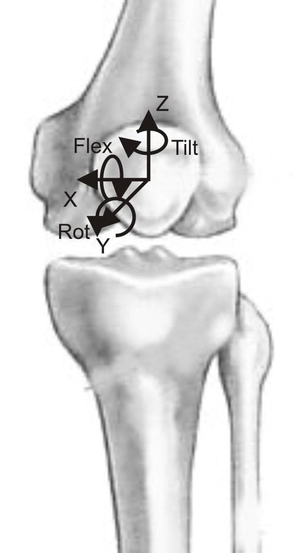 This anatomical diagram illustrates the biomechanical coordinate system of the patellofemoral joint, specifically depicting the degrees of freedom for patellar kinematics relative to the femur. The visual utilizes a three-dimensional Cartesian coordinate system centered on the patella. Translation axes are labeled as X (mediolateral), Y (anteroposterior), and Z (proximodistal). Corresponding rotational movements are indicated with curved arrows and specific terminology: 'Tilt' refers to rotation around the Z-axis (longitudinal), 'Flex' (flexion/extension) refers to rotation around the X-axis (transverse), and 'Rot' refers to rotation around the Y-axis (sagittal). The diagram is set against a grayscale background showing the distal femur, proximal tibia, and fibula, serving as an educational resource for orthopedic biomechanics, physical therapy, and joint replacement modeling. It highlights the complex tracking of the patella during knee flexion and extension.