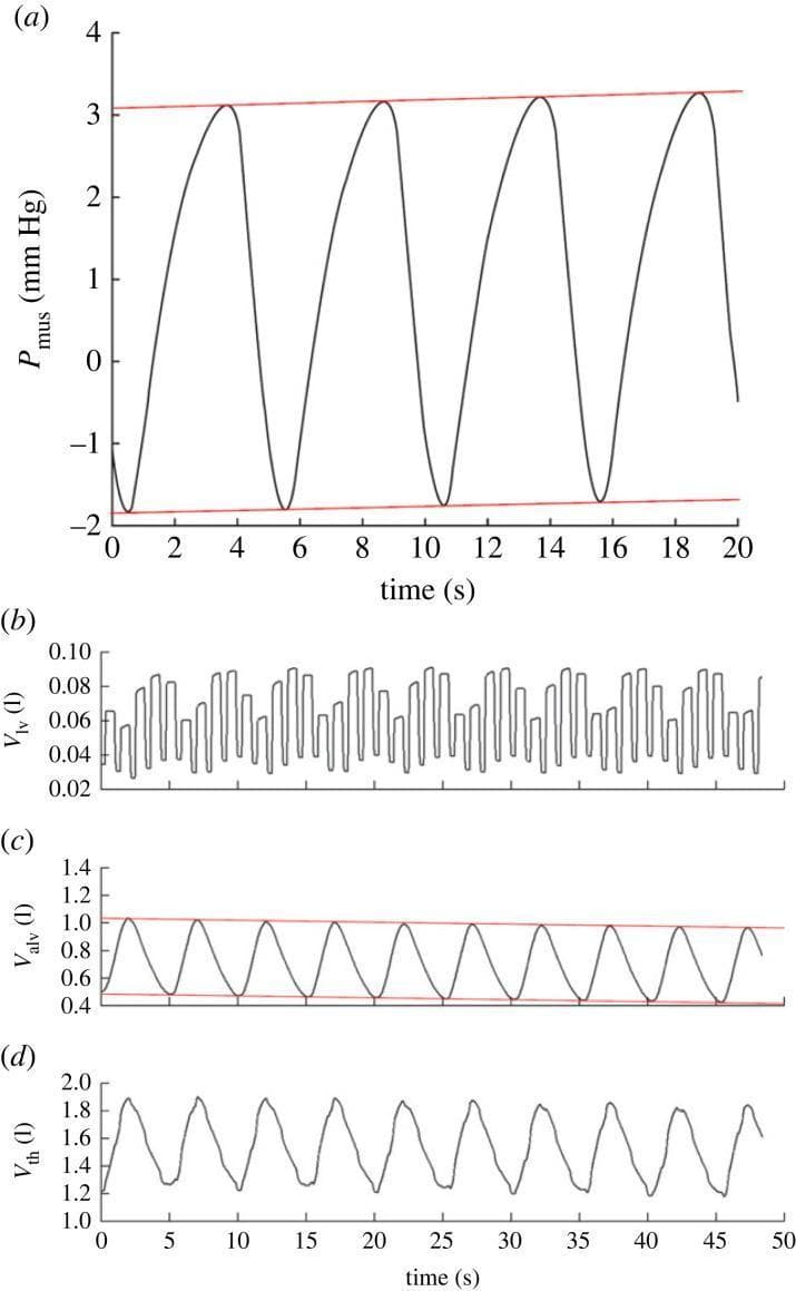 This physiological modeling data presents four time-series plots derived from a cardiovascular-respiratory interaction simulation, specifically the Jallon heart-lung model. Plot (a) displays respiratory muscle pressure (Pmus) in mmHg over 20 seconds, showing a sinusoidal oscillatory pattern with a visible non-stationary upward drift in both peak and trough values, highlighted by red trend lines. Plot (b) illustrates left ventricular volume (Vlv) in liters, demonstrating high-frequency cardiac oscillations superimposed on slower respiratory variations. Plot (c) shows alveolar volume (Valv) in liters over 50 seconds; red trend lines accentuate a pathological decrease in the overall range of ventilation over time. Plot (d) tracks thoracic volume (Vth) in liters, showing periodic fluctuations corresponding to the respiratory cycle. Collectively, these graphs illustrate model instability where non-stationary behavior leads to an unbounded increase in muscular pressure and a corresponding decline in pulmonary volumes, serving as an educational example of computational model drift in medical physiological systems.