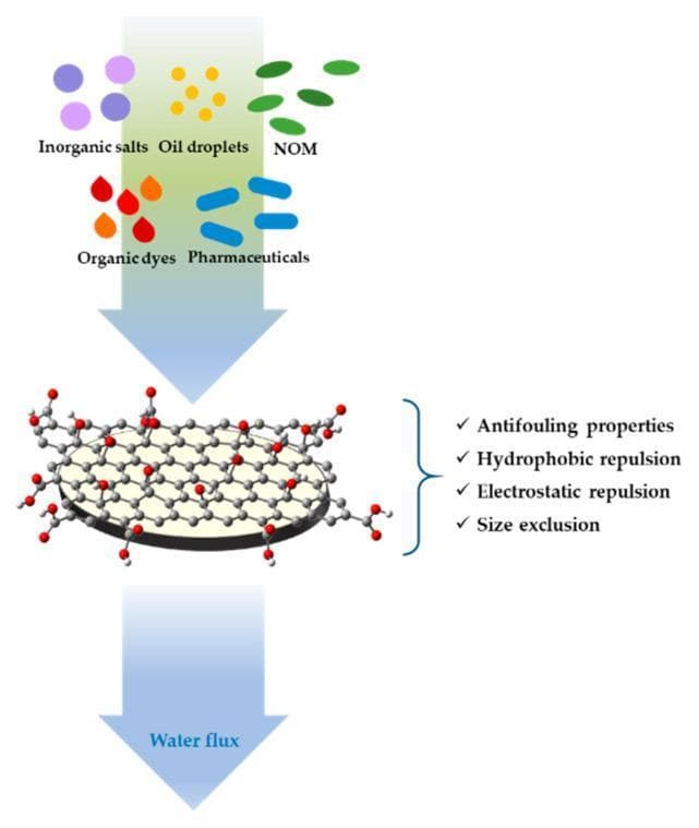 A schematic diagram illustrating the mechanism of water purification and contaminant retention using a Graphene Oxide (GO) coated Ultrafiltration (UF) membrane. The illustration shows a vertical flow process where untreated water containing various contaminants is directed toward the membrane. The contaminants are categorized and visually represented as follows: inorganic salts (purple circles), oil droplets (yellow spheres), Natural Organic Matter (NOM, green ovals), organic dyes (red and orange droplets), and pharmaceuticals (blue capsule-shaped icons). The membrane is depicted as a molecular lattice of graphene oxide, characterized by functionalized carbon rings. The right side of the diagram highlights four key mechanisms of the GO coating: antifouling properties, hydrophobic repulsion, electrostatic repulsion, and size exclusion. A downward arrow beneath the membrane signifies the resulting 'Water flux,' representing the purified filtrate. This diagram demonstrates the application of nanotechnology and smart materials in environmental health and biomedical engineering for the removal of complex chemical and pharmaceutical impurities.