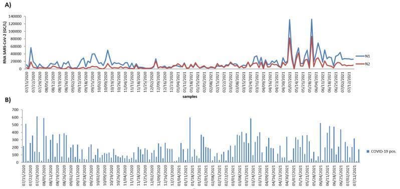 A multi-panel epidemiological data visualization tracking SARS-CoV-2 trends over a one-year period (July 2020–July 2021) in São José do Rio Preto. Panel A is a line graph showing wastewater-based epidemiology data, quantifying SARS-CoV-2 RNA (GC/L) for two genetic targets: N1 (blue line) and N2 (red line). The graph illustrates longitudinal fluctuations with prominent peaks in early May 2021, where the N1 target consistently shows higher viral copy concentrations than N2. Panel B is a bar chart displaying the daily number of COVID-19 positive clinical cases over the same timeline. The vertical axis for clinical cases ranges from 0 to 700. The combined figures facilitate a temporal comparison between environmental viral load monitoring in raw sewage and reported clinical diagnostic data. This comparison is used to study the correlation between community viral shedding and public health infection rates, illustrating the utility of wastewater surveillance as a supplemental tool for infectious disease monitoring and early warning systems.