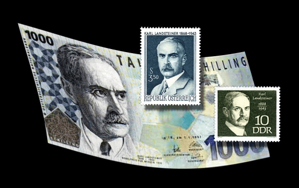 **Imaging Modality:** Medical History Graphic/Collage.
**Subject Matter:** Commemorative philatelic and numismatic items honoring Karl Landsteiner (1868–1943).
**Key Features:**
- **Central Elements:** A curved Austrian 1000-schilling banknote (Schilling note) featuring a portrait of Karl Landsteiner.
- **Secondary Elements:** Two commemorative postage stamps superimposed on the banknote. One stamp is blue, issued by the Republic of Austria (*Republik Österreich*), and the other is green, issued by the German Democratic Republic (*DDR*).
- **Textual Markers:** The banknote and stamps contain the name "Karl Landsteiner," his birth and death dates (1868–1943), and references to his Nobel Prize in Physiology or Medicine (1930).
**Medical Historical Context:** Landsteiner is the pathologist and immunologist credited with the discovery of the major human ABO blood group system and the co-discovery of the Rh factor. These findings are foundational to the fields of hematology, transfusion medicine, and serology.
**Clinical Significance:** This image documents the historical recognition of the development of blood typing and cross-matching, which enabled safe blood transfusions and advanced the understanding of immunohematology.